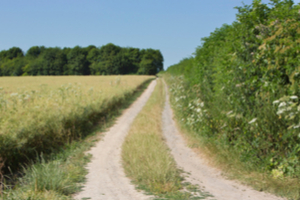 Stay quiet while walking through animal habitats
