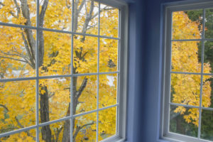 Keep boxelders out of your home this fall by sealing up windows and doors