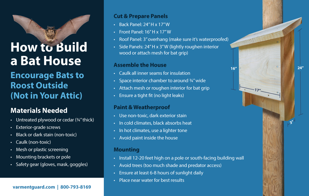Vg Bat House Info R1 (2)