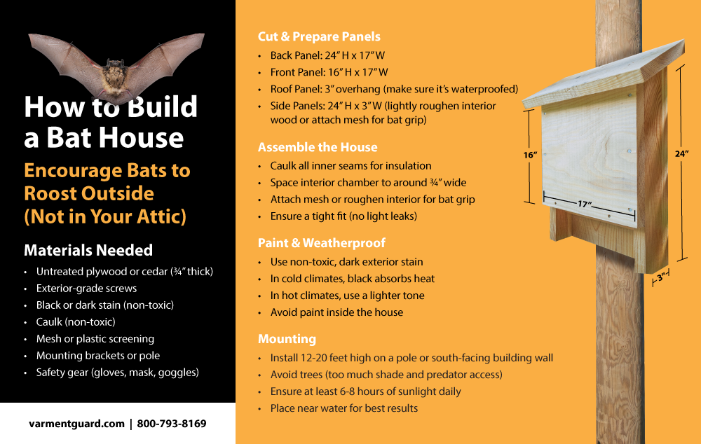 Vg Bat House Info R2