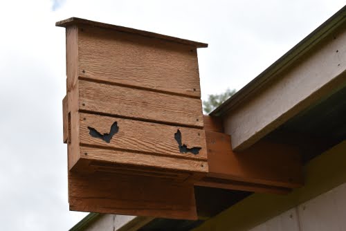 Bathouses2