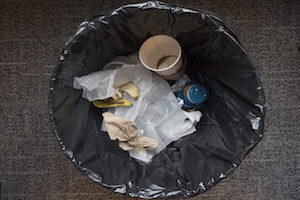 Line your garbage bags and take your garbage out regularly to deprive pests of an easy meal