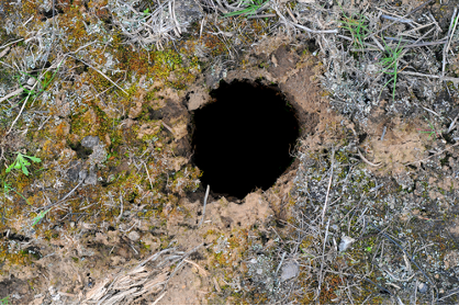 Snakehole