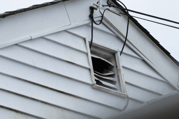 Attic Damage From Animals