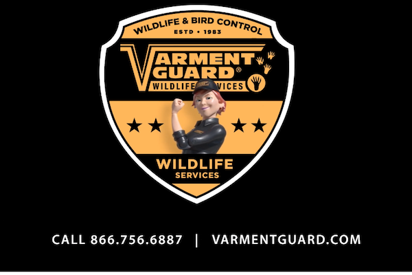 Varment Guard Wildlife Services video